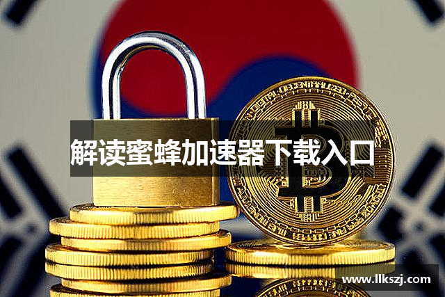 解读蜜蜂加速器下载入口